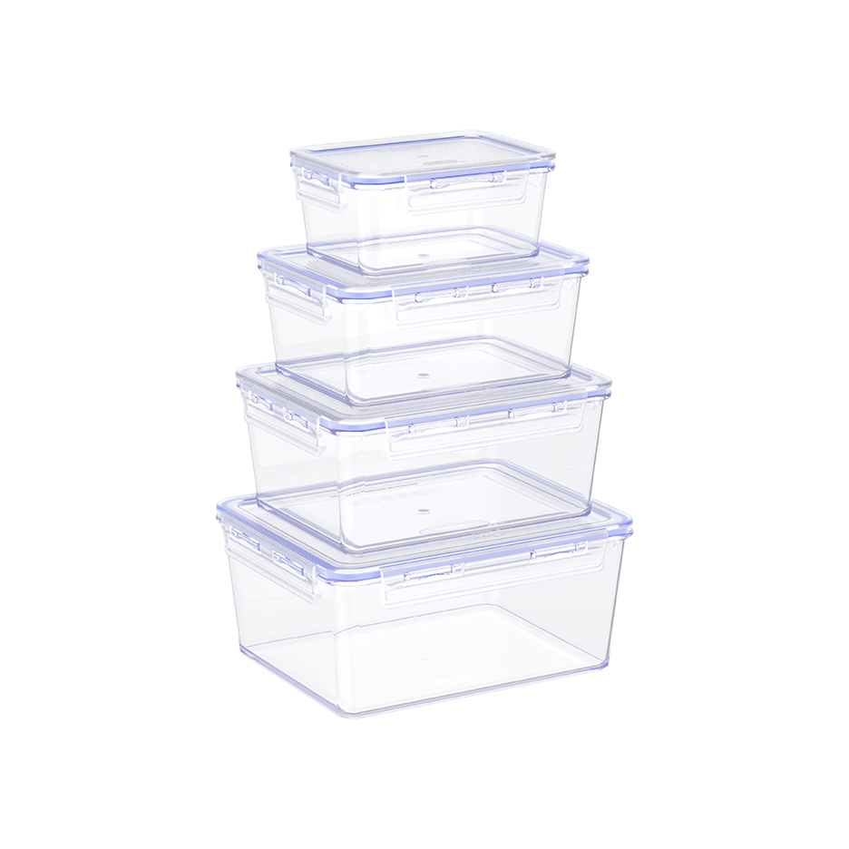Lot de 4 boites alimentaires Lock2Go 300/600/900/1200 ml